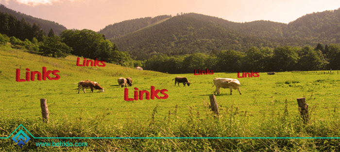 مزرعه لینک (Link-Farm) 